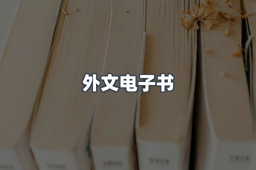 外文电子书